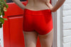 Details Classic Shorts: Red